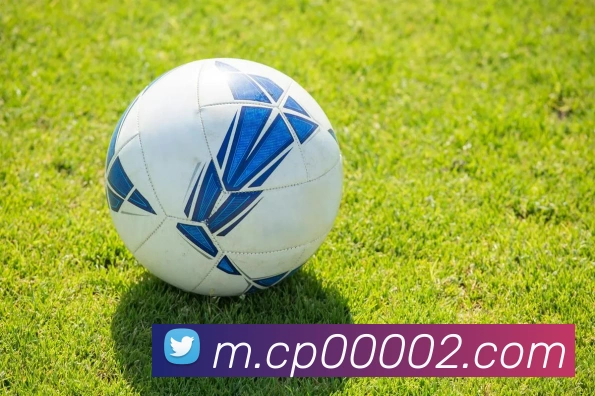 平台展示图